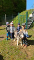 /album/porad-husky-v-pohybu/img-20260507-wa0012-jpg/